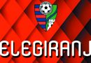 Delegiranje